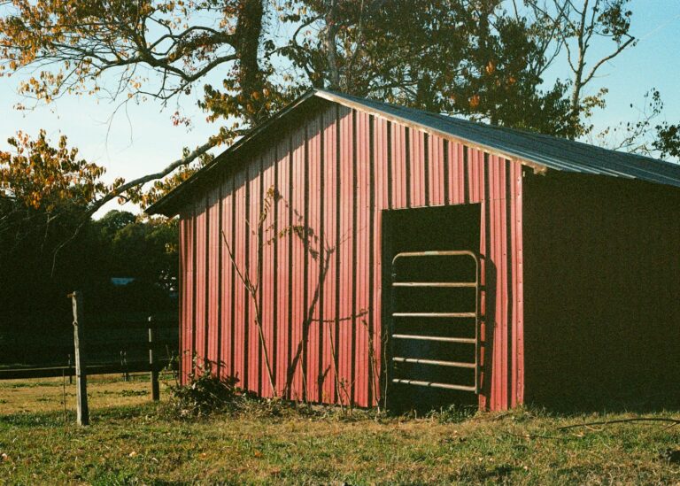 Blacha trapezowa - nieoceniony element w nowoczesnym budownictwie